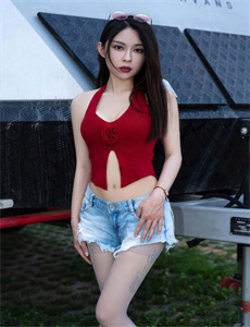 网络犯罪调查 第二季
