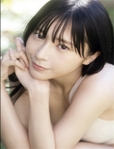 2011年国产电视剧